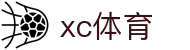 xc sports(中国区)-官方网站